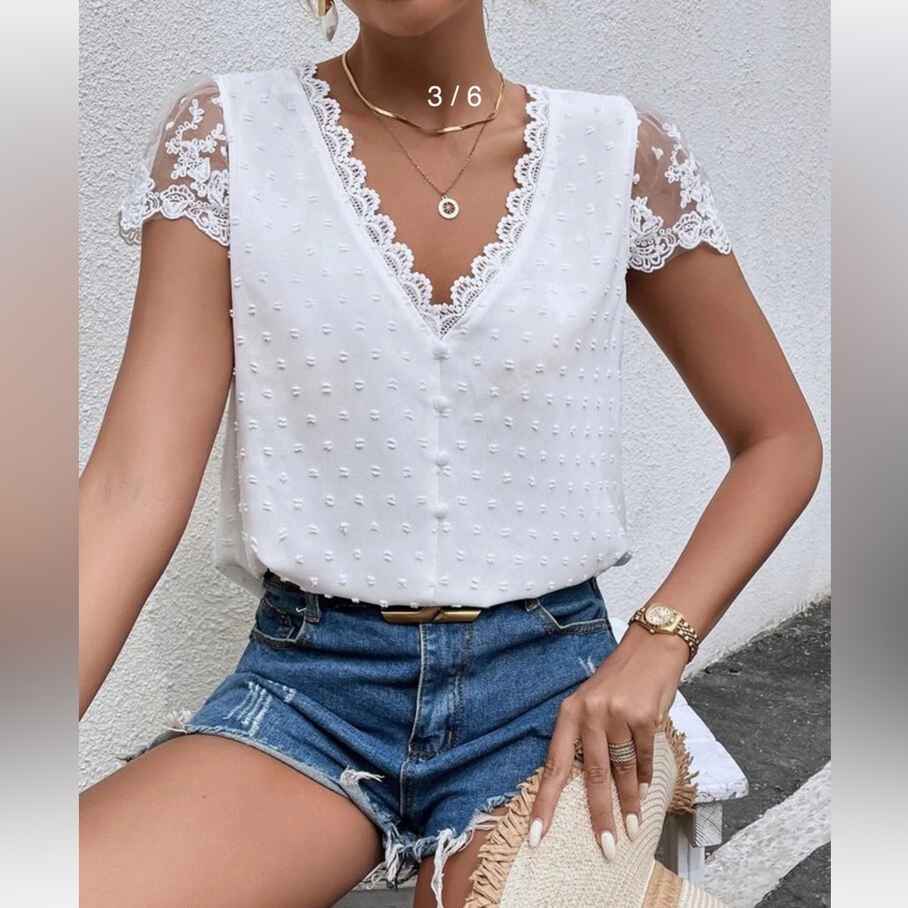 Swiss Dot Guipure Lace Detail Contrast Embroidered Mesh Blouse - Picture 2 of 3